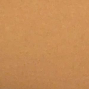 Meet your Posher, Ashton